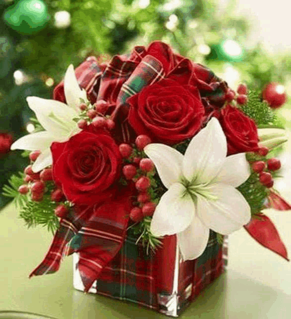 a vase filled with red roses and white lilies with a plaid ribbon