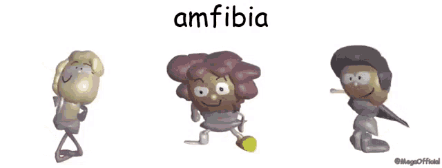 the word amfibia is on a white background