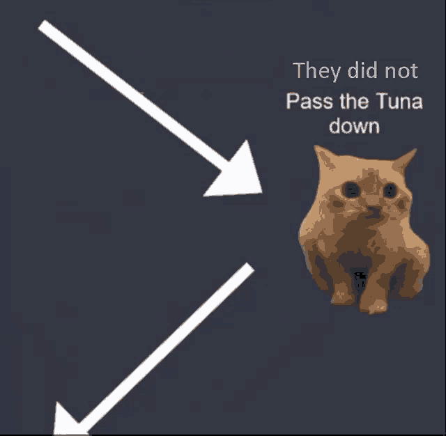 a picture of a cat with arrows pointing to it and the words " they did not pass the tuna down "