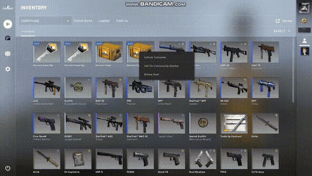 a screenshot of a video game called cs go inventory