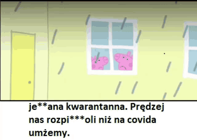 a cartoon of two pigs looking out a window with the words je ana kwarantanna