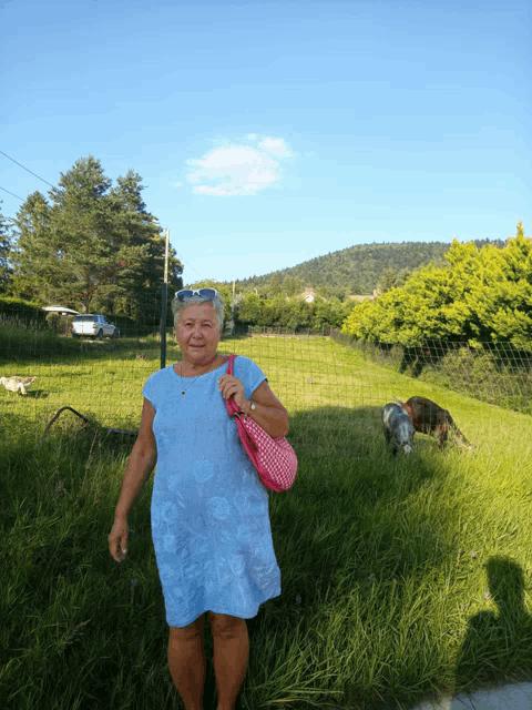 a woman in a blue dress stands in a grassy field