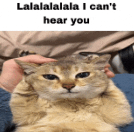 a person is petting a cat 's head with the words `` lalalalala i can 't hear you ''