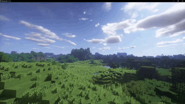 a screenshot of a video game called minecraft shows a lush green field