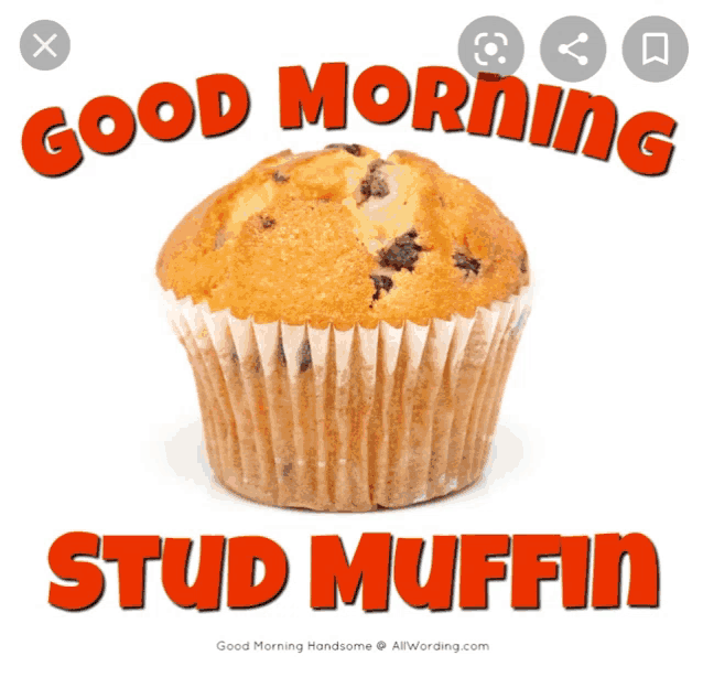 a picture of a muffin with the words good morning stud muffin on it