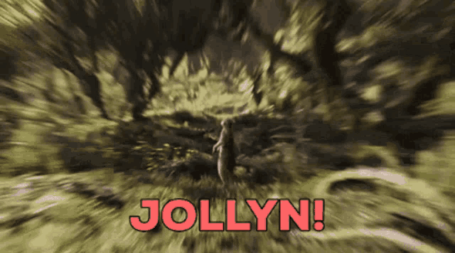 a blurred image of a squirrel with the words jollyn written in red