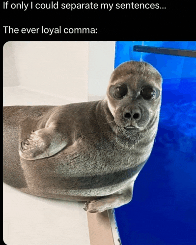 a seal with a caption that says " if only i could separate my sentences "