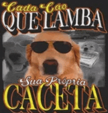 a picture of a dog wearing sunglasses with the words " cada cao que lamba sua propria cajeta "