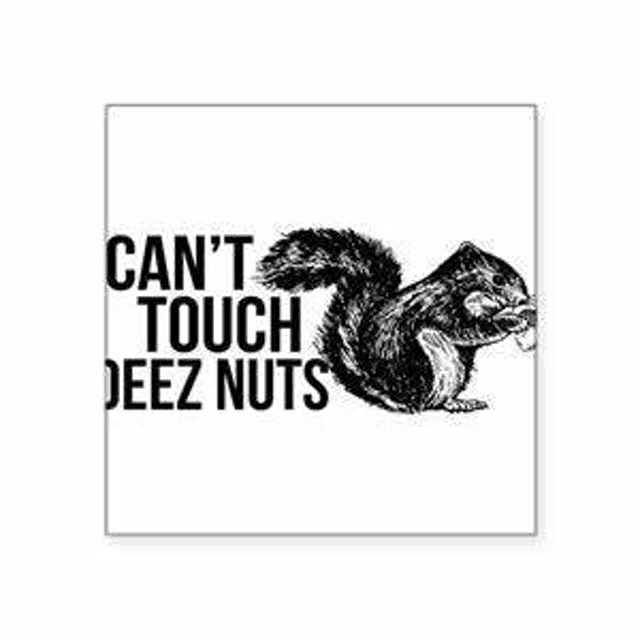 a black and white image of a squirrel with the words `` can t touch deez nuts '' .