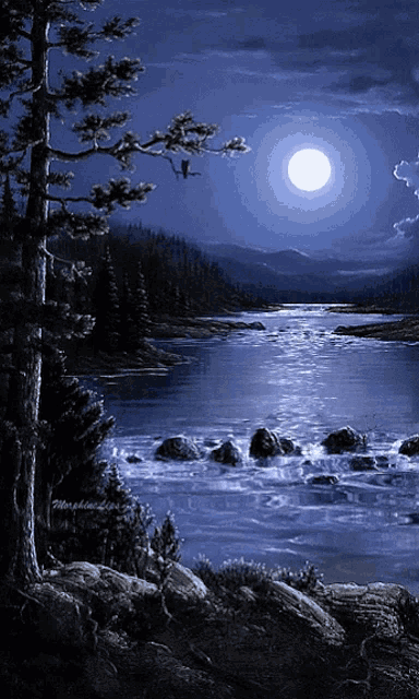 a painting of a full moon over a lake