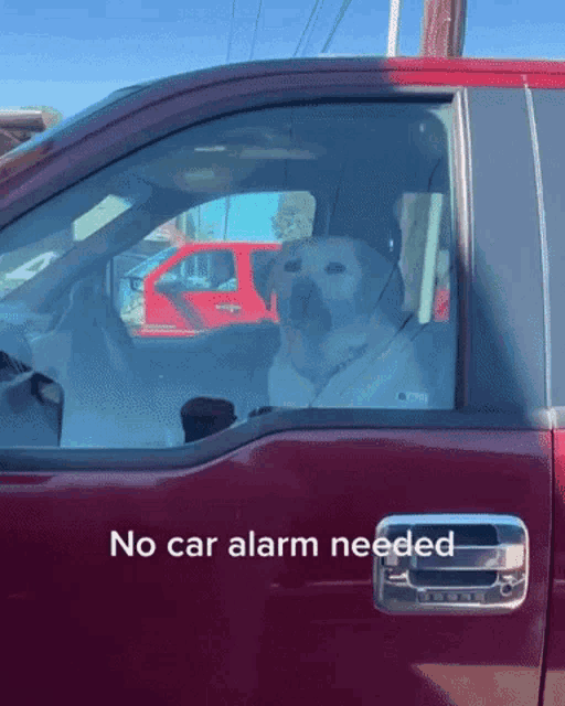 a dog is sitting in the driver 's seat of a red truck with the words " no car alarm needed " below it