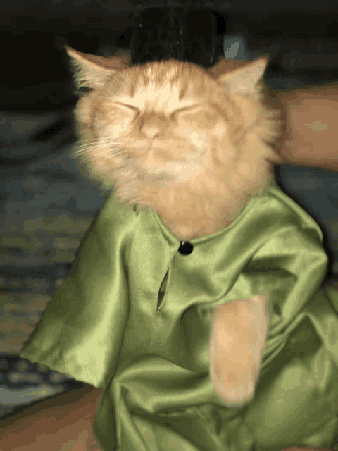 a cat wearing a green top hat and a green dress