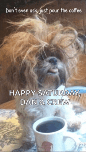 a dog sitting next to a cup of coffee with the words happy saturday dan & crew on the bottom