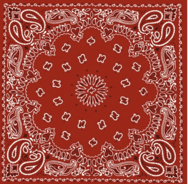 a red bandana with white paisley and a flower in the middle