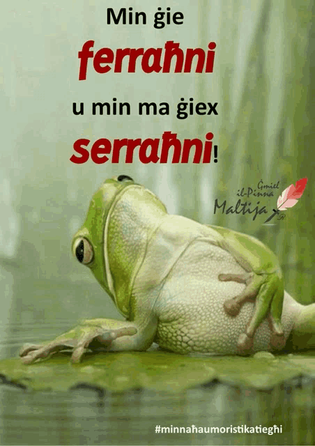 a picture of a frog with the words min gie ferrahni u min ma giex serrahni