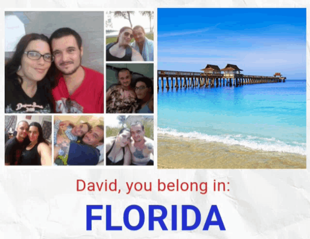 a poster that says david you belong in florida on it