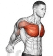 a man is doing a shoulder exercise with his arms outstretched and his chest highlighted .