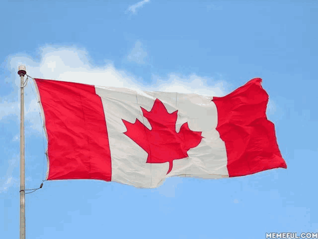 a canadian flag with a maple leaf is flying in the wind