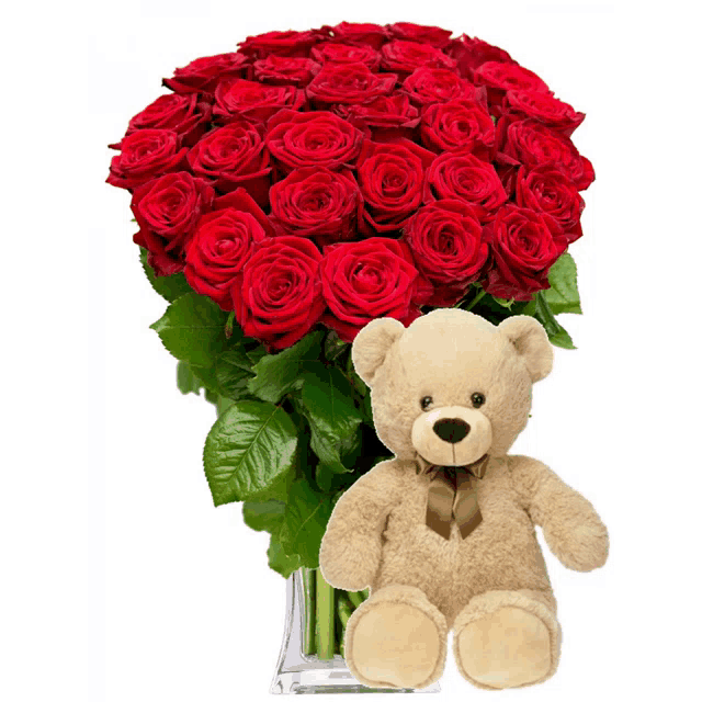 a bouquet of red roses next to a teddy bear