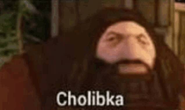 a close up of a cartoon character with a beard and the words cholibka written on it .