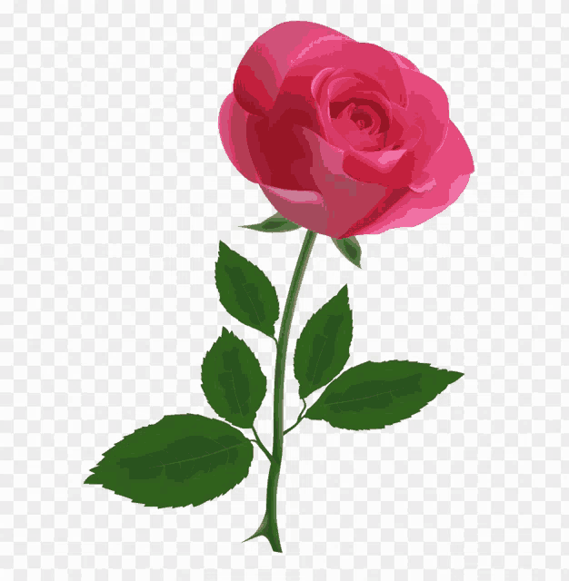 a pink rose with green leaves on a stem