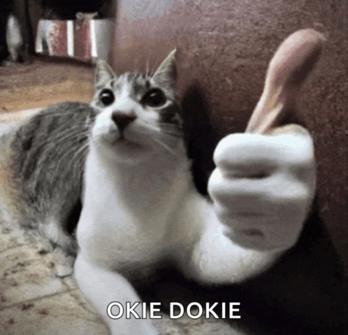 a cat giving a thumbs up with the words okie dokie behind it