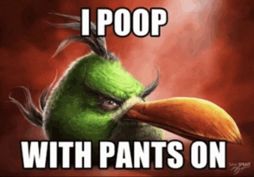 a picture of an angry bird with a caption that says i poop with pants on