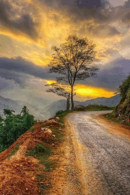 a dirt road with a tree on the side of it at sunset