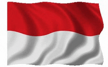 the indonesian flag is waving in the wind on a white background .