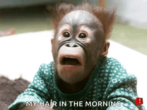 a baby monkey with a surprised look on its face and the words my hair in the morning