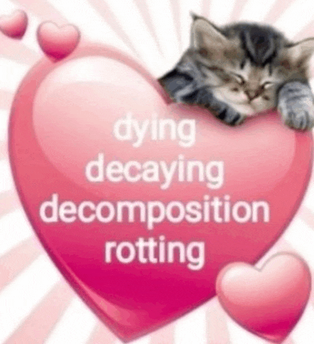 a cat is laying on top of a pink heart with the words dying decaying decomposition rotting written on it .