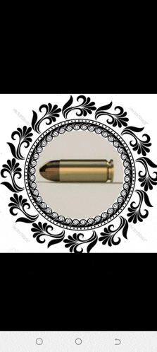 a close up of a bullet in a black and white frame .