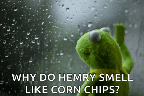 a kermit the frog is looking out a window with rain drops on it and the caption why do hemry smell like corn chips