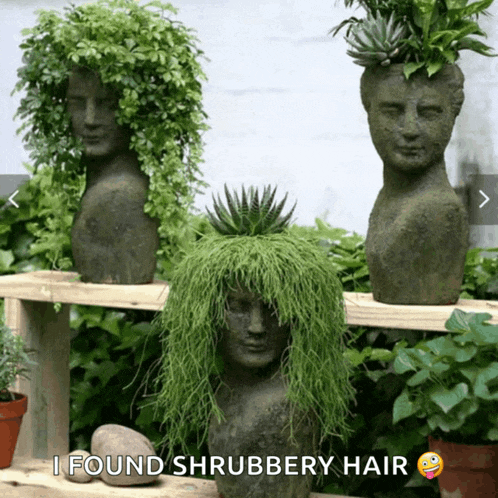 a statue with a plant in it and the words i found shrubbery hair below it