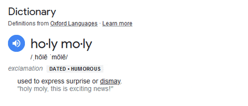 a dictionary definition for ho-ly mo-ly is displayed