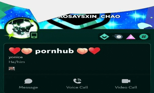 a screenshot of a person 's pornhub profile page