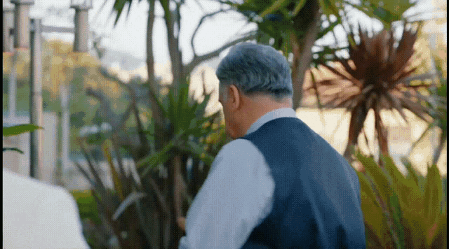 a man in a white shirt and blue vest is standing in a garden with palm trees in the background