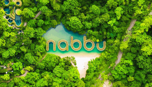 an aerial view of a lush green forest with the word nabbu written on the water