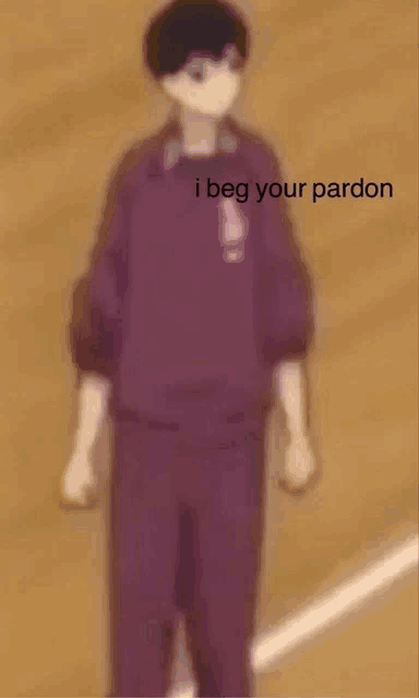 a blurry picture of a person standing on a field with the words `` i beg your pardon '' written on the bottom .