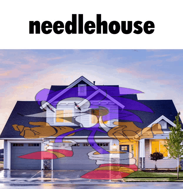 a picture of a house with the word needlehouse on the top