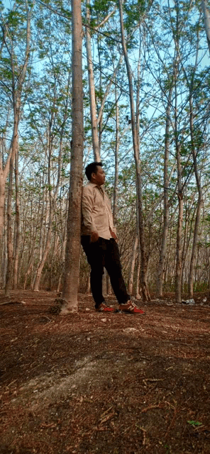 a man leaning against a tree in the middle of a forest