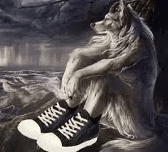 a wolf is sitting on a rock wearing a pair of black sneakers .