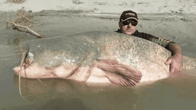 a man is holding a very large fish in his arms