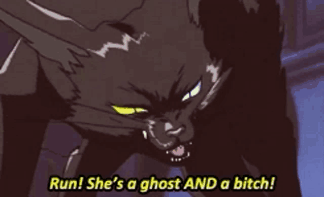 a black cat says run she 's a ghost and a bitch in yellow letters