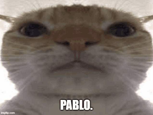 a close up of a cat 's face with the name pablo written on it .