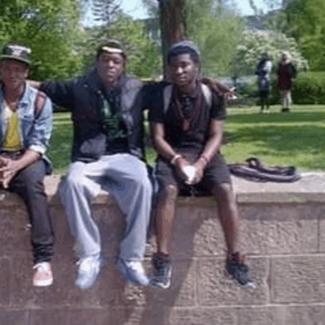 three young men are sitting on a brick wall in a park .