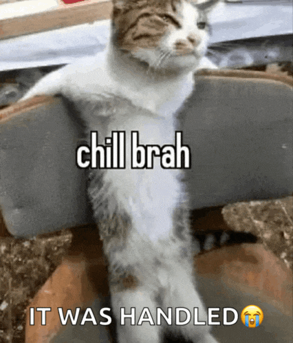 a cat sitting on a chair with the words chill brah it was handled