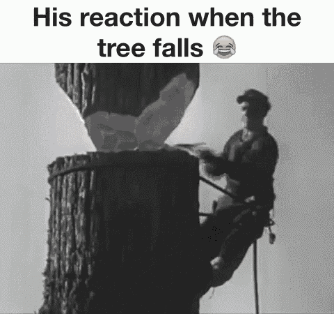 a black and white photo of a man climbing a tree stump with the caption " his reaction when the tree falls "