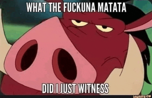 a cartoon of a pig from the lion king says `` what the fuckuna matata did i just witness '' .