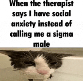 a cat is sitting in a bathtub with a caption that says `` when the therapist says i have social anxiety